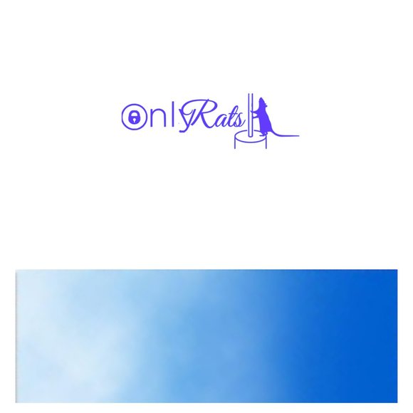 Only Rats- Funny Rats Vinyl Decals Car, Laptop, Windows, Phone Case Sticker - Picture 10 of 14